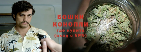 амф Струнино