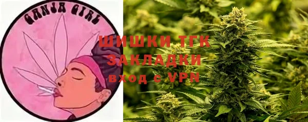 таблы Сосновоборск